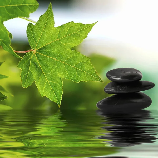 Piedras Zen Superficie Del Agua Con Hojas Verdes — Foto de Stock