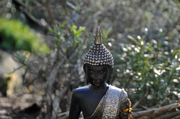 Βουδισμός Κουλτούρα Και Πνευματικότητα Gautama Βούδα — Φωτογραφία Αρχείου