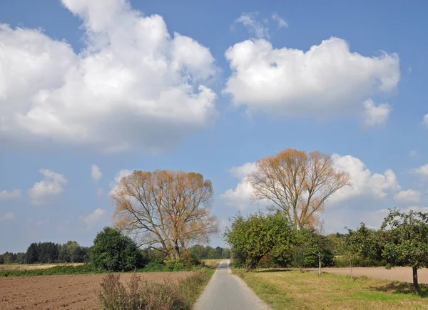 Campagna Pista Ciclabile Albero Alberi Paesaggio Nube Nube Cielo Nuvole — Foto Stock