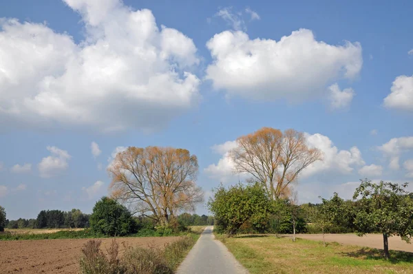country path,away,bike path,tree,trees,landscape,cloud,cloud,sky,clouds,economic path,long,egelsbach,darmstadt,hesse,germany