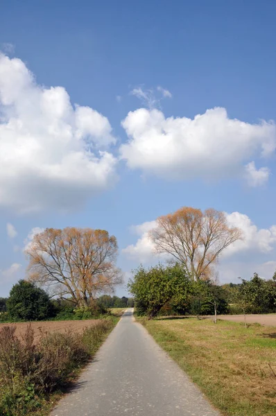 Dirt Road Path Bike Path Tree Trees Landscape Cloud Cloud — стоковое фото