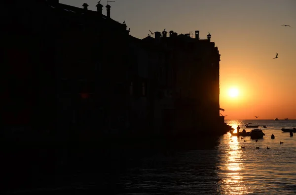 Rovinj Istrien Mediterran Maritim Halbinsel Abend Nacht Sonnenuntergang Abendsonne Kirche — Stockfoto