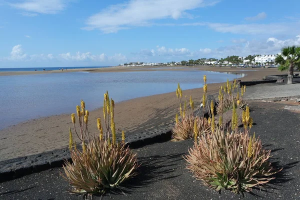 Litoral Puerto Del Carmen Lanzarote — Fotografia de Stock