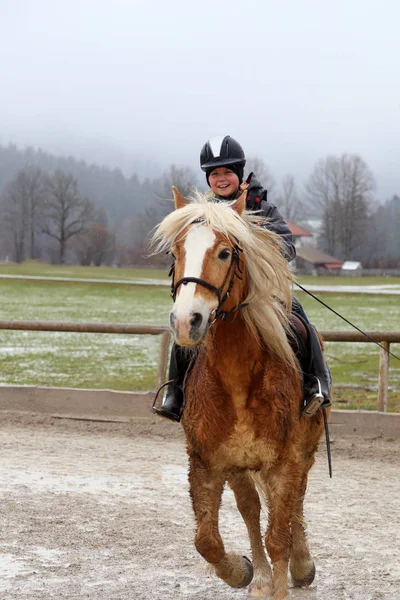 Fille Avec Étalon Brun — Photo