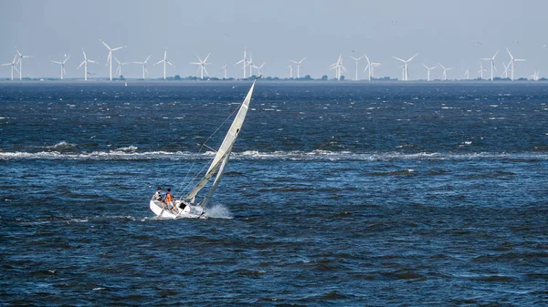 Dois Jovens Vão Dia Verão Com Barco Vela Mar Norte — Fotografia de Stock