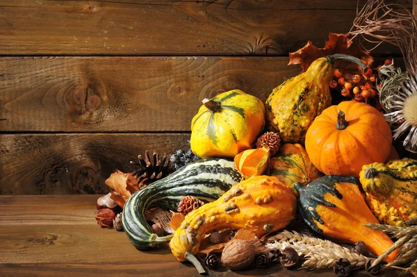 Acción Gracias Las Calabazas Distintas Con Las Nueces Las Bayas — Foto de Stock