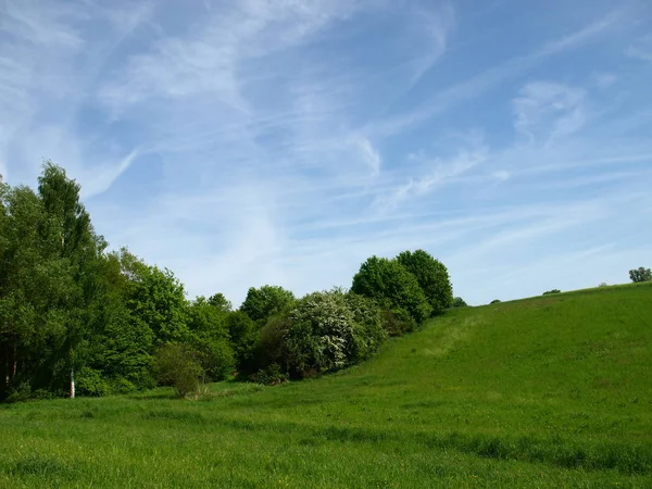 Mei Open Lucht — Stockfoto