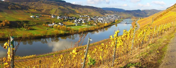 Moselle Valley Reil Panorama Autumn — Stock Photo, Image