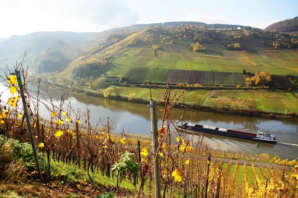 Herbstliches Moselle Valley Burg Freighter — Stock fotografie