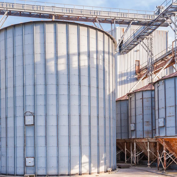 Skladovací Zařízení Obiloviny Výroba Bioplynu — Stock fotografie