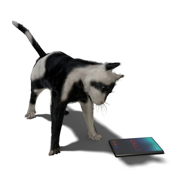 Kedi Akıllı Bir Telefona Bakıyor Sembolik Illüstrasyon — Stok fotoğraf