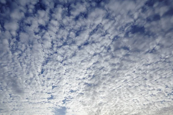 Cielo Sera Con Tante Nuvolette Bianche Aree Blu Scuro — Foto Stock