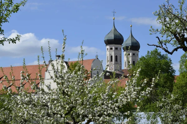 Flor Mosteiro Benediktbeuern — Fotografia de Stock