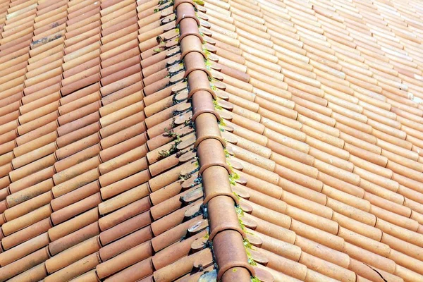 Tiled Roof Porto Portugal — Stock Photo, Image