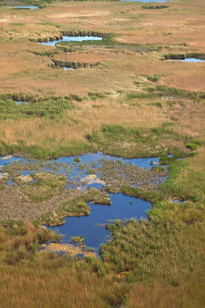 Detail Van Een Moeras Nat Landschap — Stockfoto