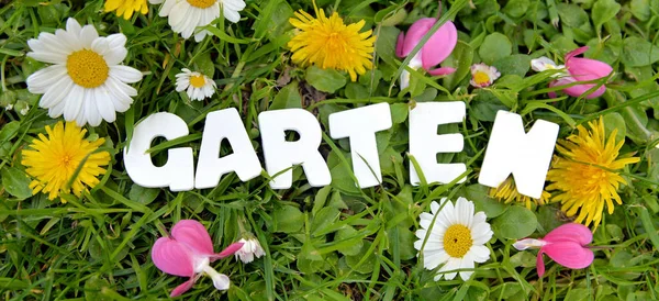 Wiese Garten Grüne Buchstaben — Stockfoto