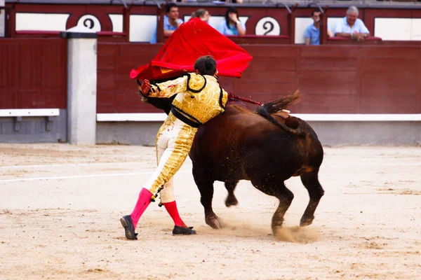 Madrid Spanje Juni 2011 — Stockfoto