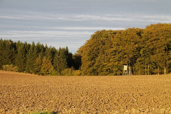 Acker Med Hög Sits Vid Wanldrand — Stockfoto