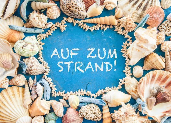 Verwitterter Holzhintergrund Mit Muscheln Und Strandkämmung — Stockfoto