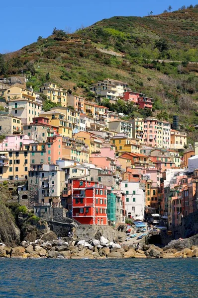 Riomaggiore Afrika Kıtasında Bulunan Spezia Devletinde Bir Şehirdir — Stok fotoğraf