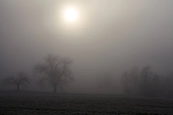 Táj Karintiában Ködben — Stock Fotó