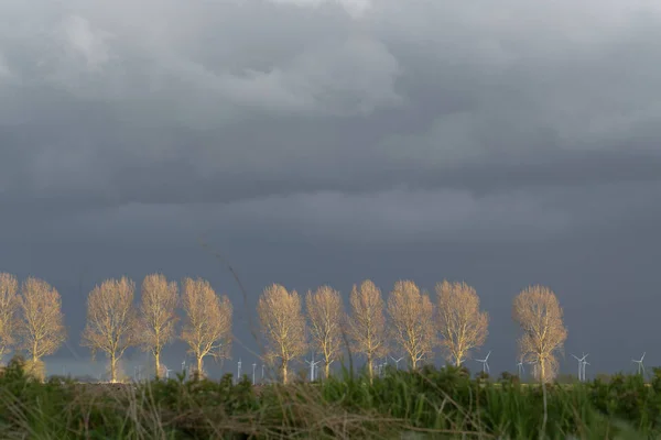 Prachtig Uitzicht Natuur — Stockfoto