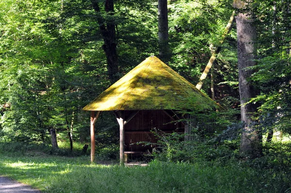 Rifugio Nella Foresta — Foto Stock