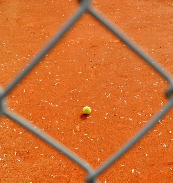 Tennis Grön Boll Sport Spel — Stockfoto