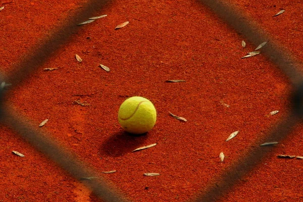 tennis green ball, sport game