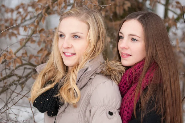 Két Barátnő Télen — Stock Fotó