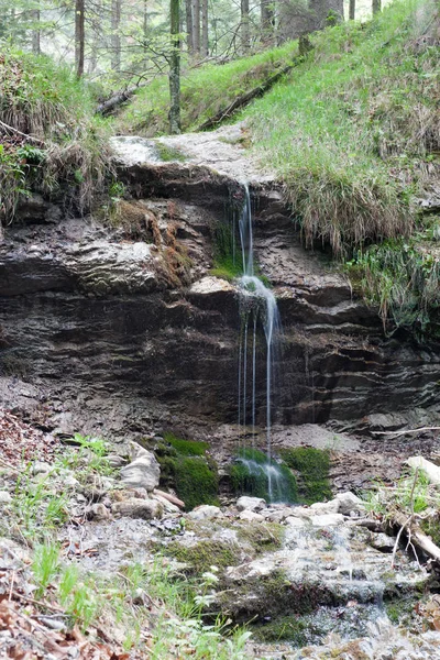 Watercascade Midden Een Bos — Stockfoto