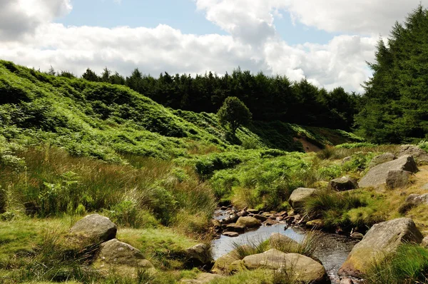 Hike Sheffield Burbage Valley — Stock Photo, Image