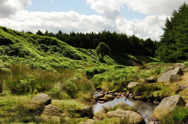 Pěší Túra Sheffieldu Burbage Valley — Stock fotografie