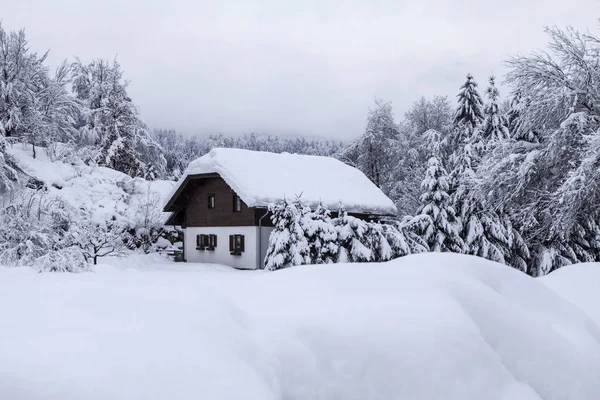 Winterlandschaft Mit Haus Kärnten — Stockfoto
