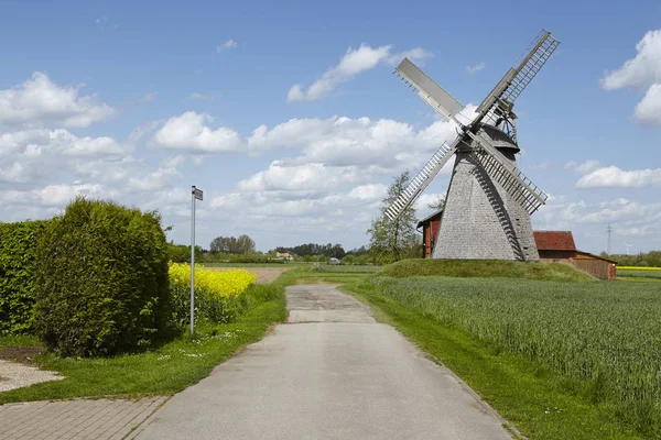 Windmolen Bierde Petershagen Duitsland Een Nederlandse Windmolen Maakt Deel Uit — Stockfoto