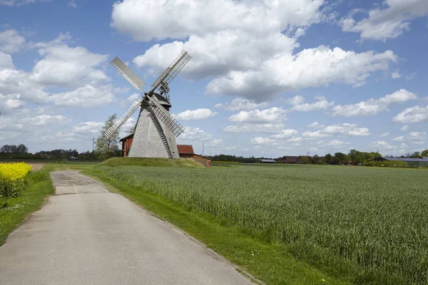 Větrný Mlýn Bierde Petershagen Německo Holandský Větrný Mlýn Součástí Westphalia — Stock fotografie