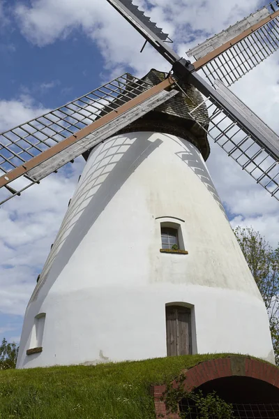 Heimsen Szélmalom Petershagen Németország Holland Típusú Szélmalom Amely Westfhalia Mill — Stock Fotó