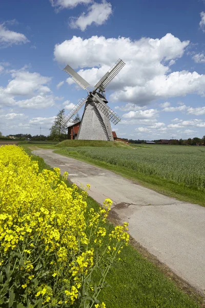 Väderkvarnen Bierde Petershagen Tyskland Holländsk Typ Väderkvarn Och Ingår Westfalen — Stockfoto