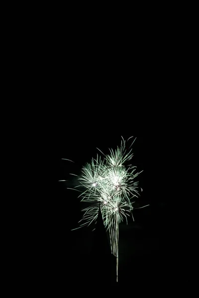 Holiday Fireworks Explosion Night Sky Celebration — Stock Photo, Image