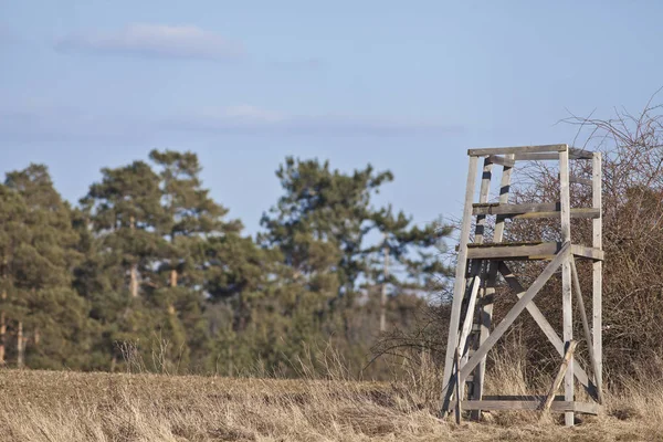 Vysoké Místo Pro Lovce — Stock fotografie