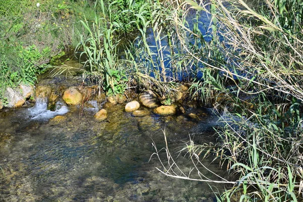 Fiume Nella Foresta — Foto Stock