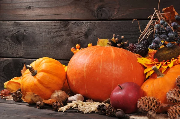 Thanksgiving Various Squashes Nuts Berries Cereal Wooden Wall — Stock Photo, Image