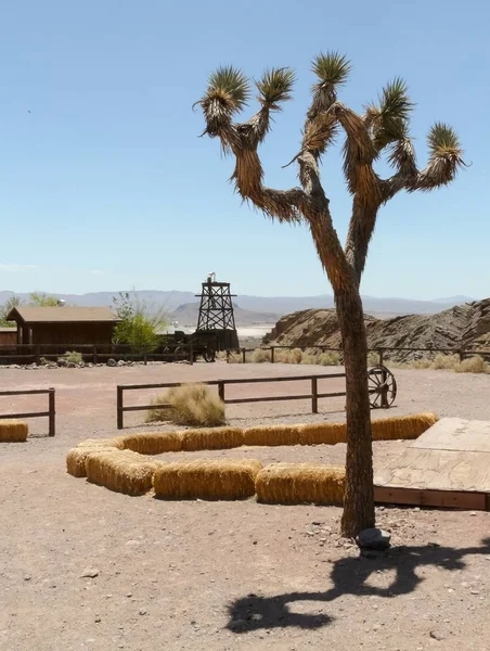 Calico Eua Maio 2008 Joshua Tree Calico Ghost Town Abaixo — Fotografia de Stock