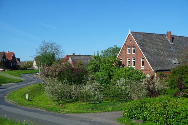 Frühling Alten Land — Stockfoto