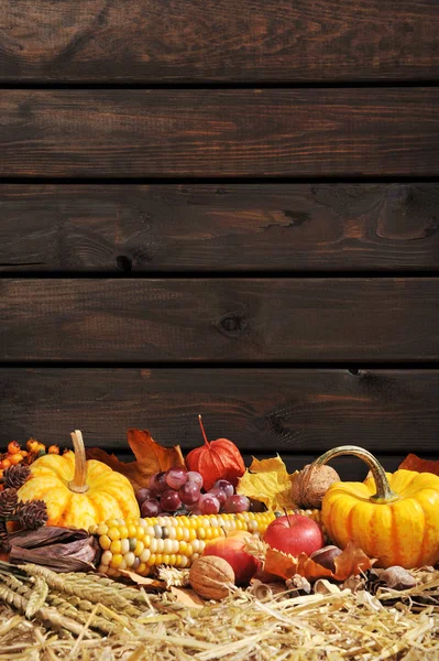 Ringraziamento Frutta Verdura Sulla Paglia Fronte Una Vecchia Parete Legno — Foto Stock