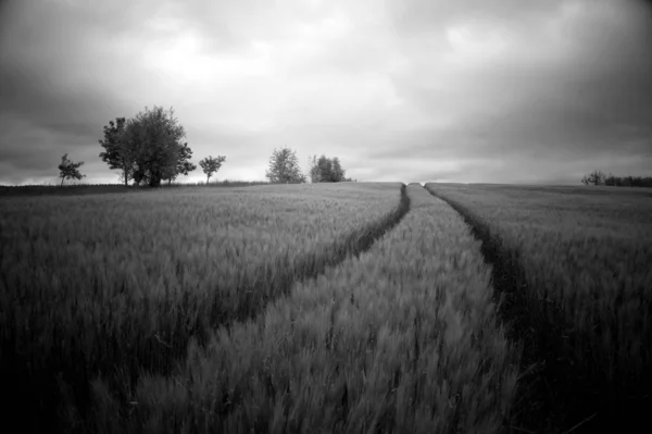 Aussichtsreicher Blick Auf Die Landwirtschaft Auf Dem Land — Stockfoto