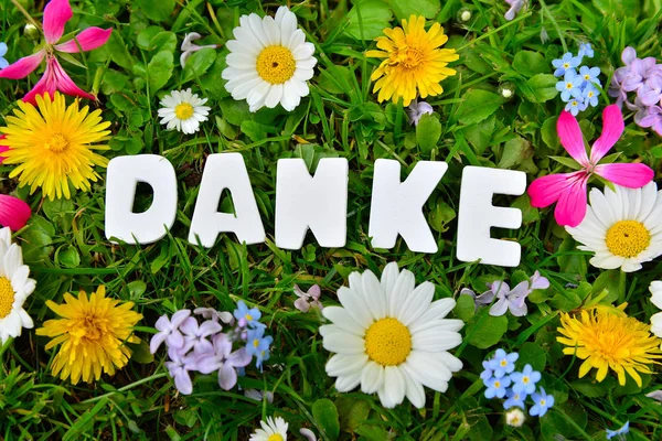 Tack Text Bokstäver Färgglada Blomma Äng — Stockfoto