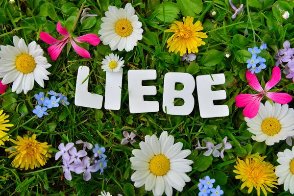 Lettres Amour Sur Prairie Fleurs Colorées — Photo