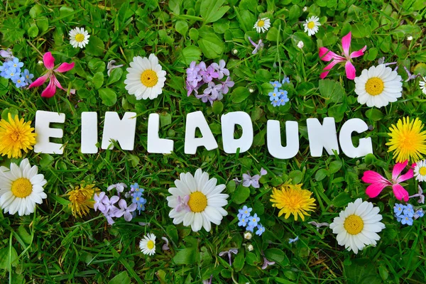 Inbjudan Text Buschstaben Färgglada Blomma Äng — Stockfoto