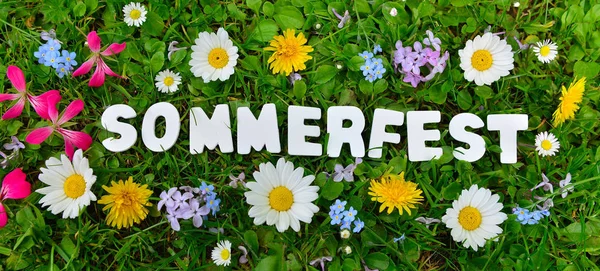 Sommerfest Auf Bunter Blumenwiese — Stockfoto